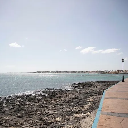 El Olivar *